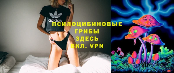 каннабис Аркадак