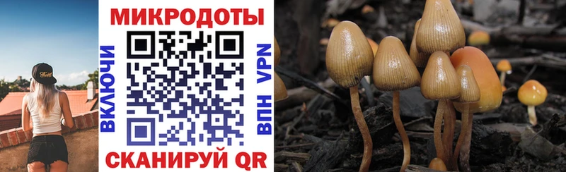 ОМГ ОМГ маркетплейс  Бавлы  Псилоцибиновые грибы Magic Shrooms 