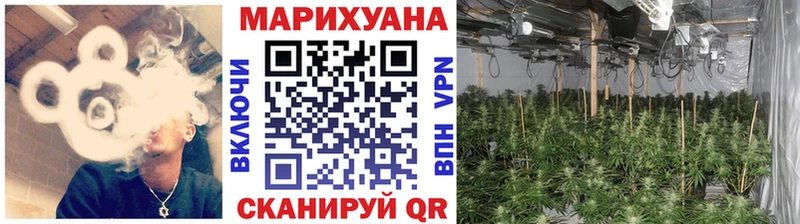 Шишки марихуана марихуана  Бавлы 